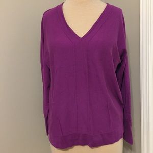 Eddie Bauer v-neck sweater